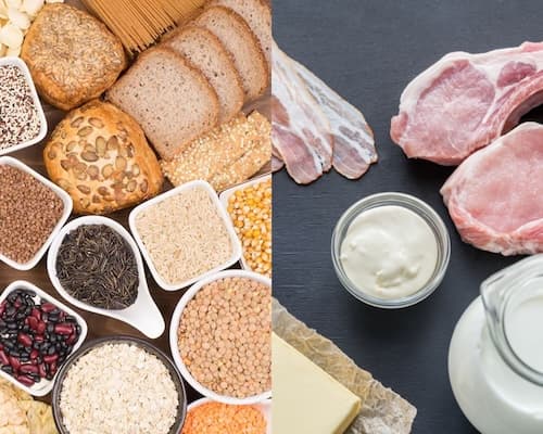 Cover Image for Carbs vs. Fat