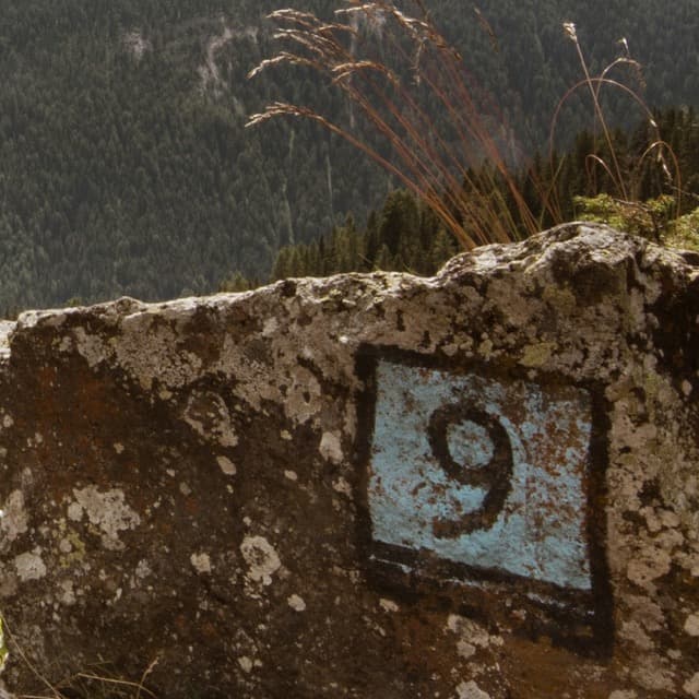 Cover Image for Carnivore Diet Month 9 Health Update