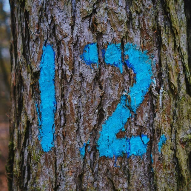 Cover Image for Health Update - Month 12