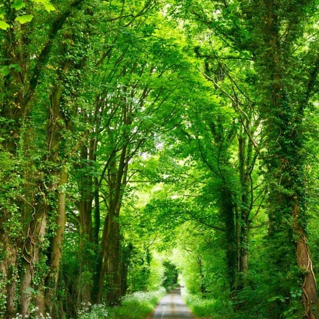 Cover Image for What I Learned from My ITP in 2025