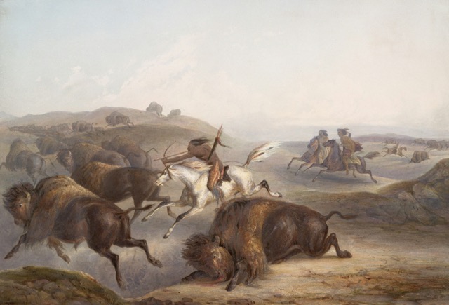 Hunting