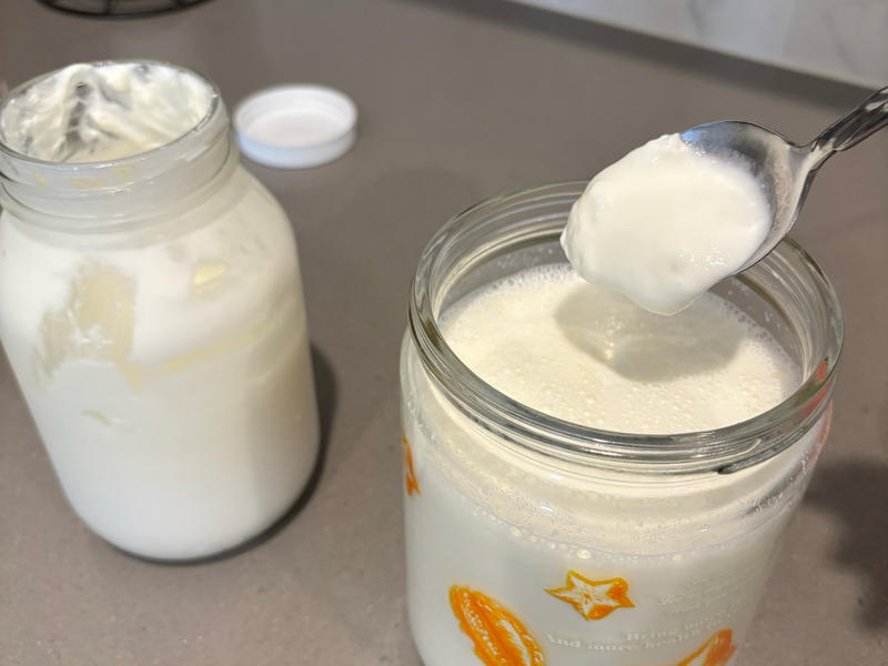 Adding the yogurt starter