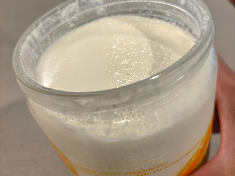 Refrigerating the yogurt