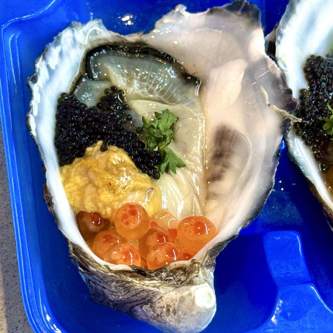 Shucked oyster
