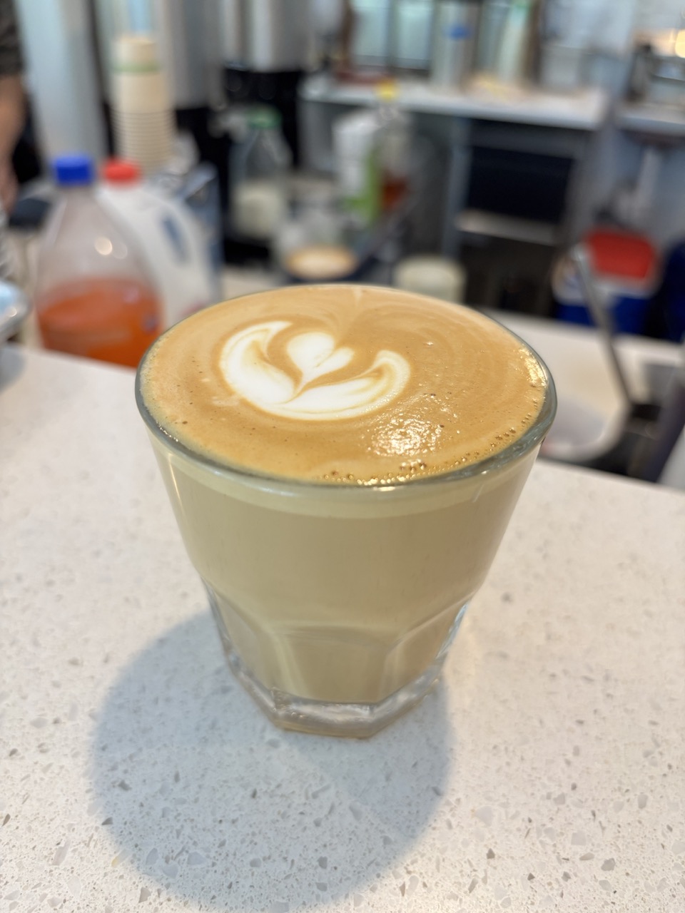 August 24 cortado
